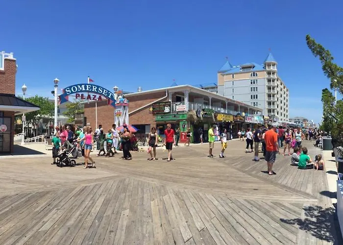 The Colony Ocean Stadt