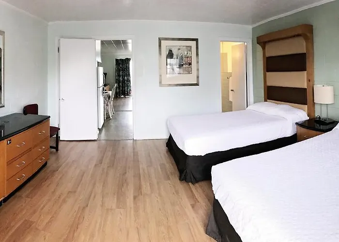 The Colony